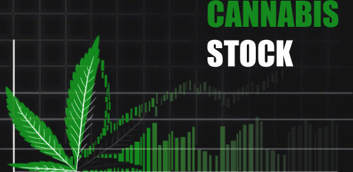 Cannabis-stock-tsx