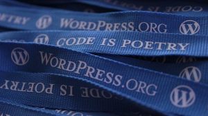 Wordpress web development coding